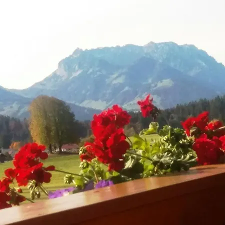 Apartman Haus Wiesenblick *